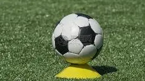 皇冠体育app下载